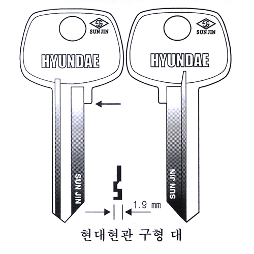 현대현관구형 대