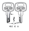 대신민소