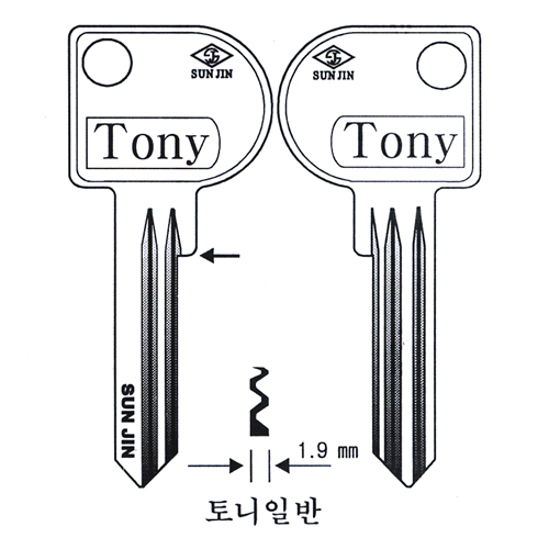 토니일반