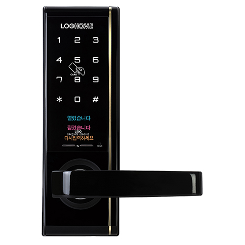 에버넷 L990 (카드)